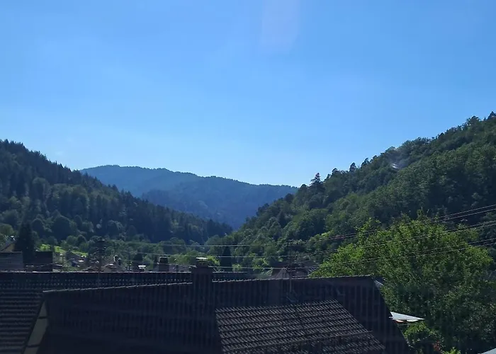Ferienwohnung Casa Carina - Lautenbach