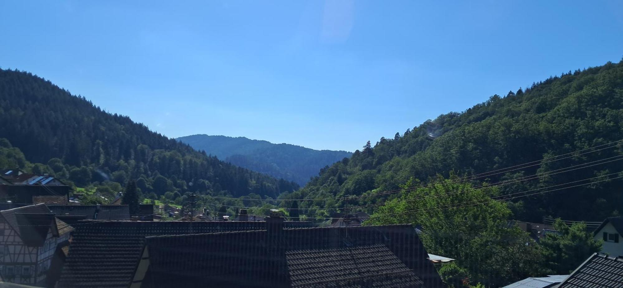 Apartment Casa Carina - Lautenbach