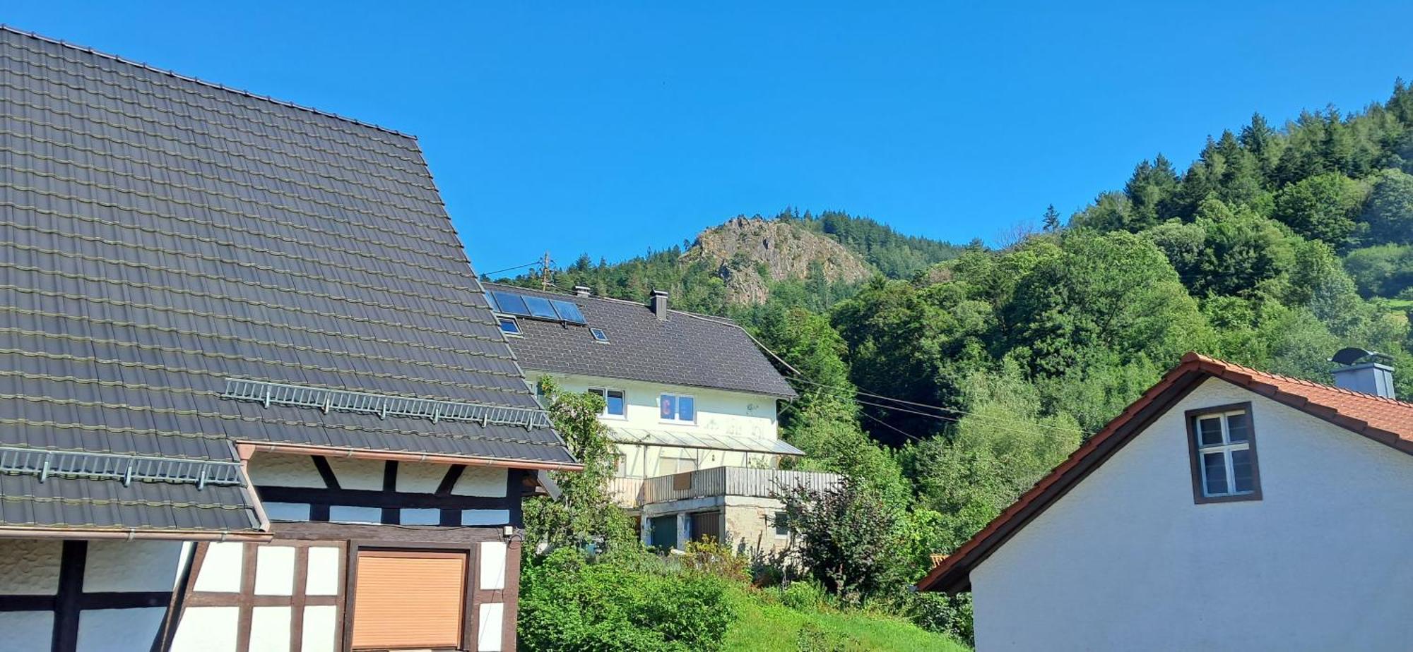 Apartment Casa Carina - Lautenbach *